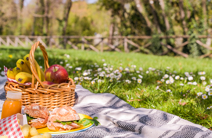 Lunch in the park on the green grass. Summer sunny day and picnic basket