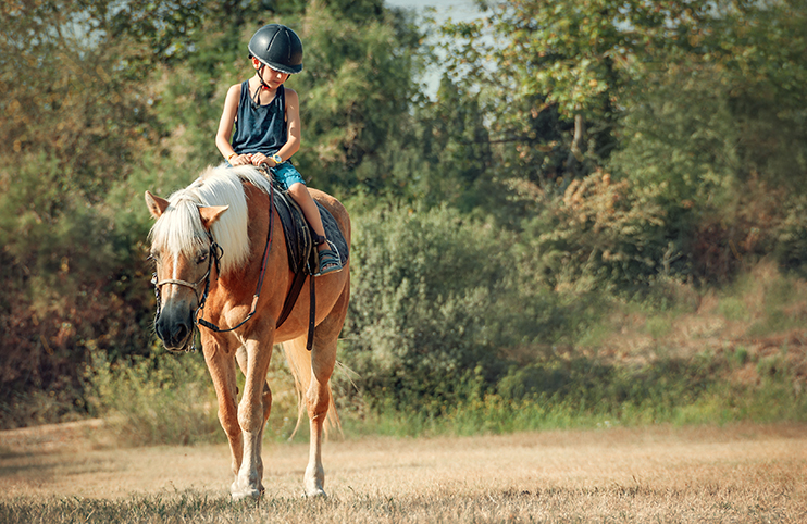 Little boy on the horse